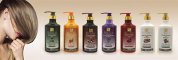 H&B Shampoo for Dry and Brittle Hair with Argan Oil